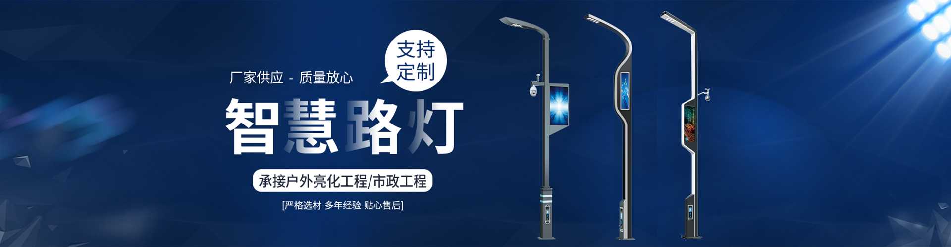 鹿城区太阳能路灯定制厂家